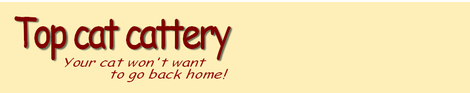 Your cat won't want
           to go back home!