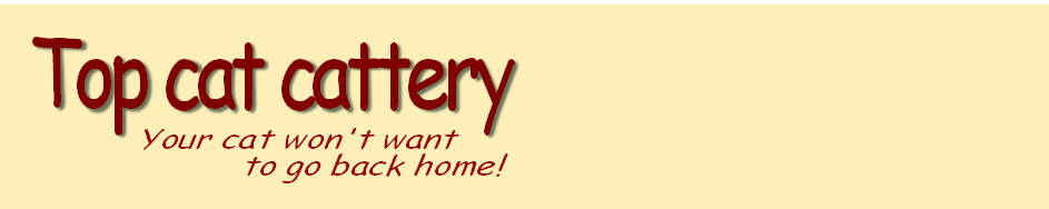 Your cat won't want
           to go back home!